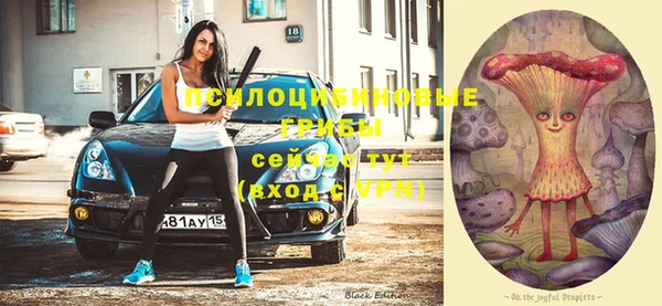 a pvp Костерёво