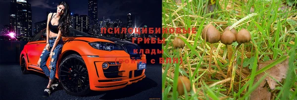 ECSTASY Коряжма